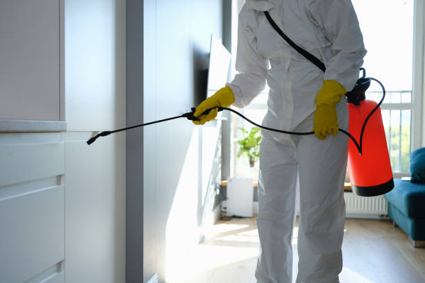 Mold Removal and Inspection in Parkway, CA
