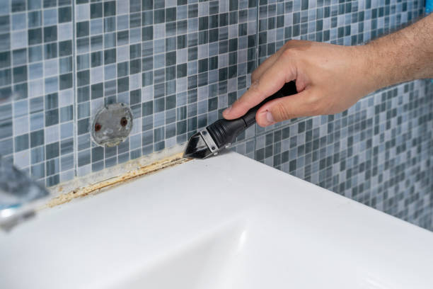 Best Certified Mold Removal  in Parkway, CA