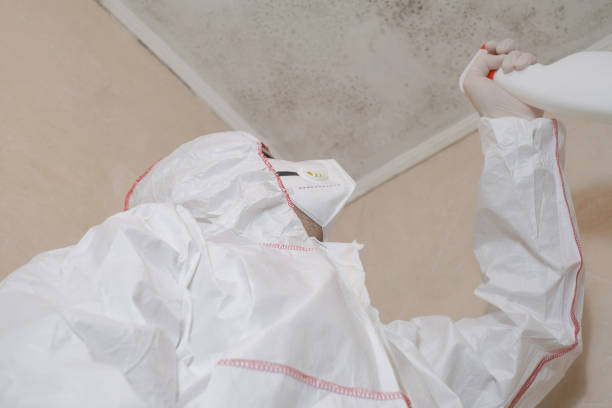 Best Mold Removal and Inspection  in Parkway, CA