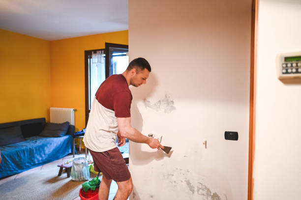 Best Mold Cleaning Services  in Parkway, CA